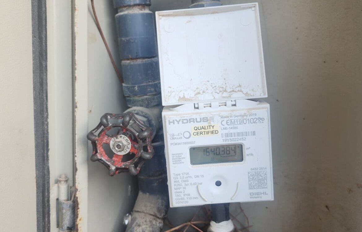 Replacement of the Main Valve and Water Meter Assembly in a Dubai Villa in Springs